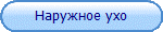 Наружное ухо